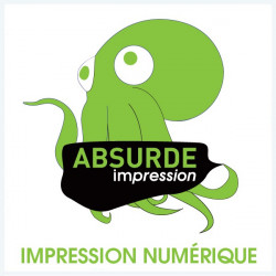 Flyers A5 250grs brillant - 500 exemplaires