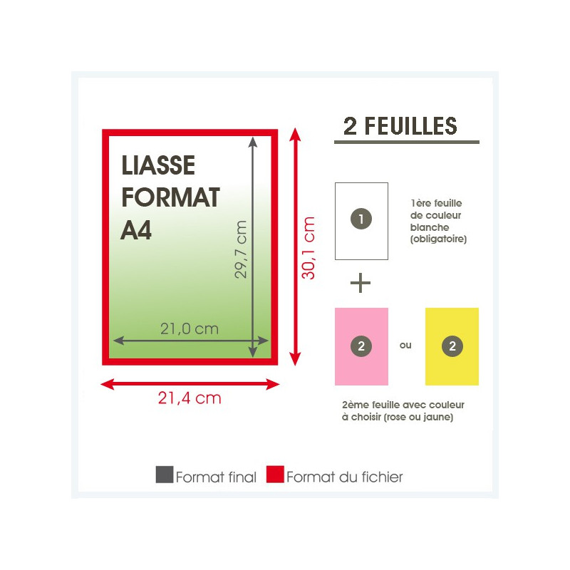Liasse 2 feuilles format A4 - 100 exemplaires