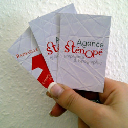 Cartes de visite 300grs vernis UV recto/verso -250 exemplaires