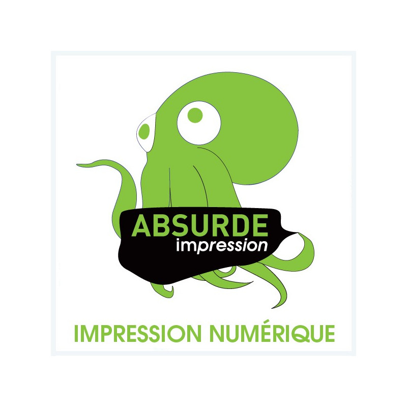 Affiches A3 90grs - 100 exemplaires